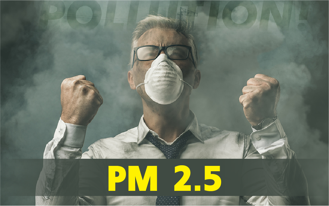 PM-2.5